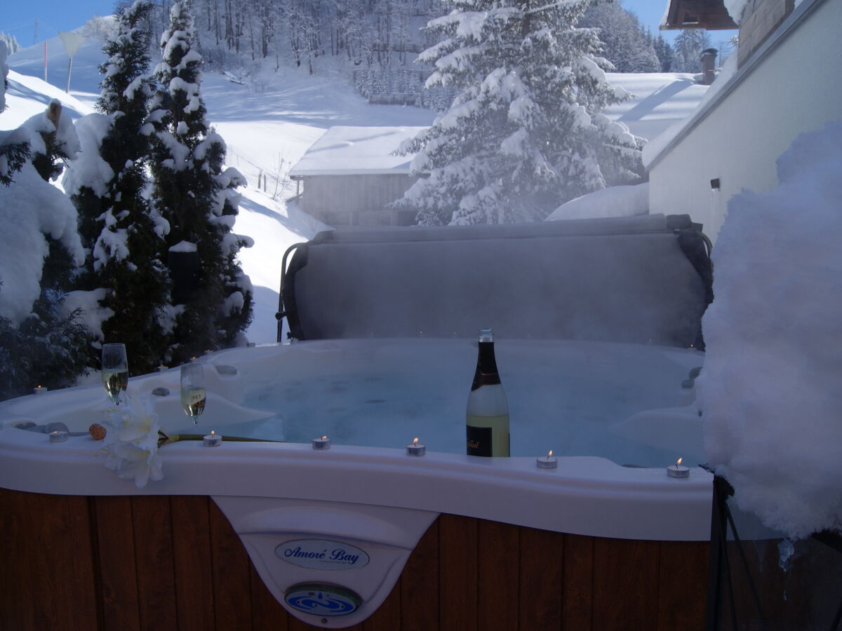 Holiday apartment Alpina Hochberg - Outdoor photo 5