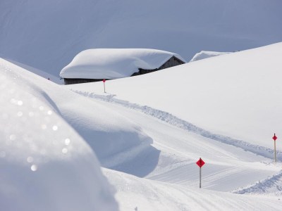 Holiday apartment Alpina Hochberg - Environment photo 21