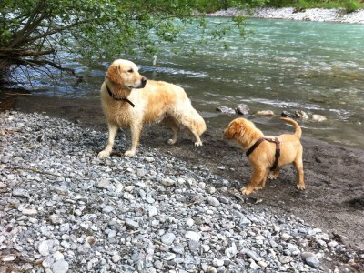 Holiday apartment Alpina Hochberg - Environment photo 29