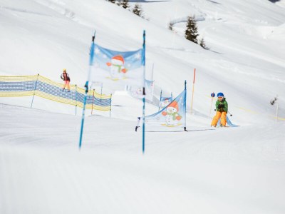 Holiday apartment Alpina Hochberg - Environment photo 31