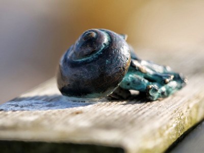 Holiday apartment Kapitänsgarten Wohnung 25 - Environment photo 24