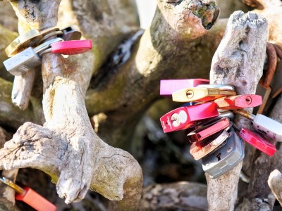 Holiday apartment Kapitänsgarten Wohnung 25 - Environment photo 25