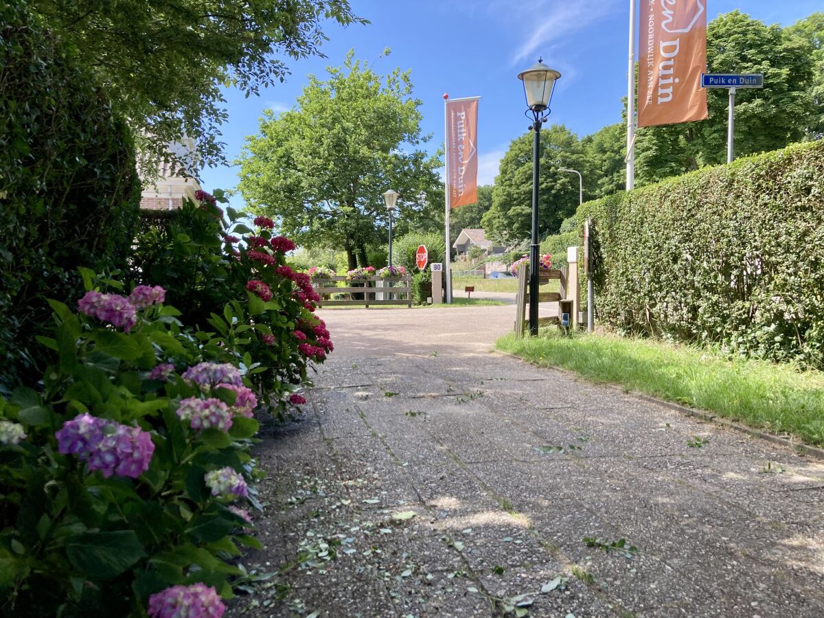 Holiday house Puik en Duin 5a - Outdoor photo 5