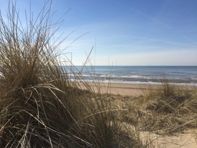 Holiday house Puik en Duin 5a - Environment photo 20