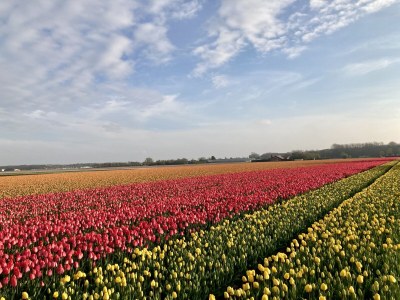 Holiday house Puik en Duin 5a - Environment photo 27