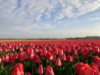 Holiday house Puik en Duin 5a - Environment photo 28