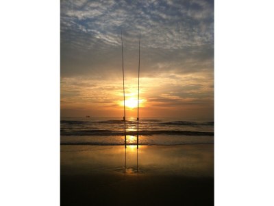 Holiday house Puik en Duin 5a - Environment photo 33