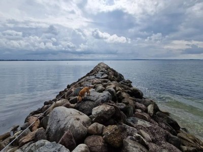 Holiday house 4 Sterne Ferienhaus in Øster Assels-By Traum - Outdoor photo 19