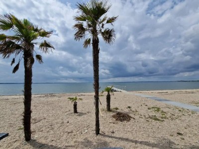 Holiday house 4 Sterne Ferienhaus in Øster Assels-By Traum - Outdoor photo 41