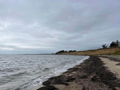 Holiday house 4 Sterne Ferienhaus in Øster Assels-By Traum - Outdoor photo 44