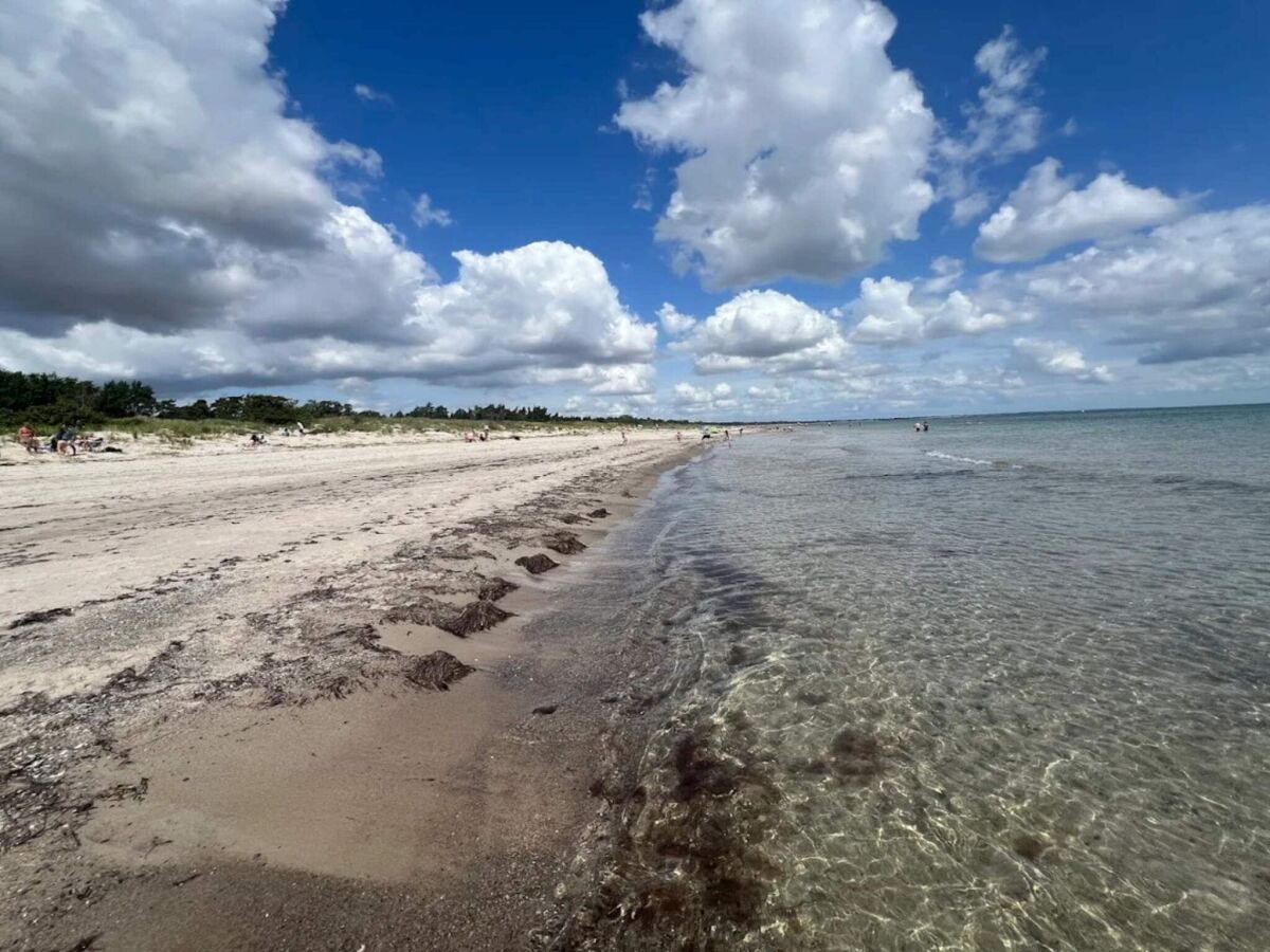 Holiday house 4 star holiday home in Væggerløse-By Traum - Outdoor photo 3