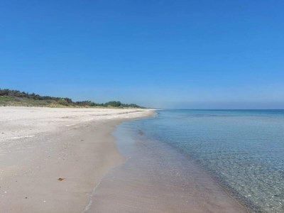 Holiday house 4 star holiday home in Væggerløse-By Traum - Outdoor photo 32