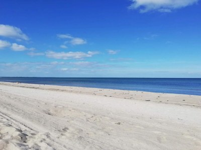 Holiday house 4 star holiday home in Væggerløse-By Traum - Outdoor photo 34