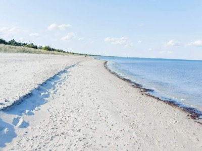 Holiday house 4 star holiday home in Væggerløse-By Traum - Outdoor photo 35