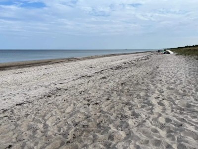 Holiday house 4 star holiday home in Væggerløse-By Traum - Outdoor photo 36