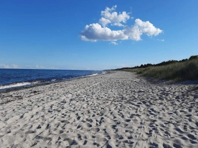 Holiday house 4 star holiday home in Væggerløse-By Traum - Outdoor photo 40