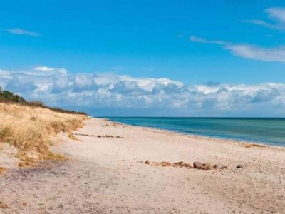 Holiday house 4 star holiday home in Væggerløse-By Traum - Outdoor photo 51