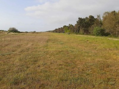 Holiday house 4 star holiday home in Væggerløse-By Traum - Outdoor photo 56