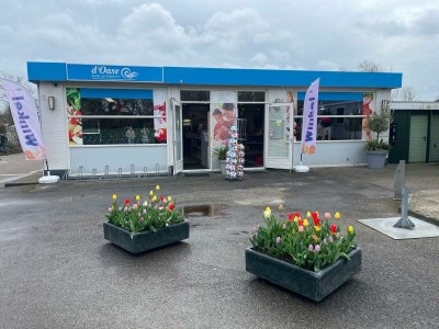 Chalet Bondi Beach - Environment photo 29