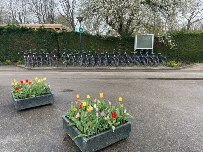 Chalet Bondi Beach - Environment photo 32