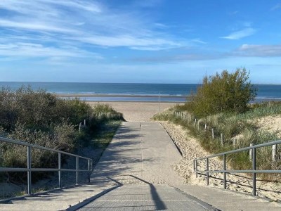 Chalet Bondi Beach - Environment photo 36