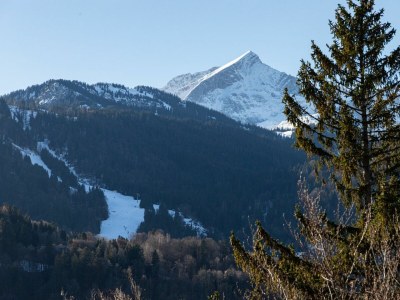 Holiday apartment Alpenpanorama - Environment photo 45
