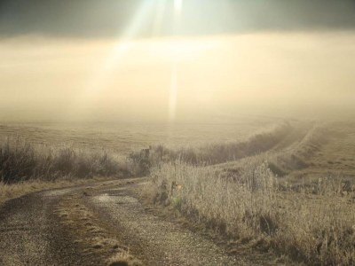 Holiday house Gemütlicher Rückzugsort auf dem Land - Environment photo 24