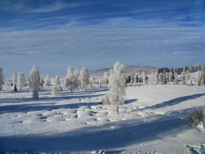 Holiday house Gemütlicher Rückzugsort auf dem Land - Environment photo 26