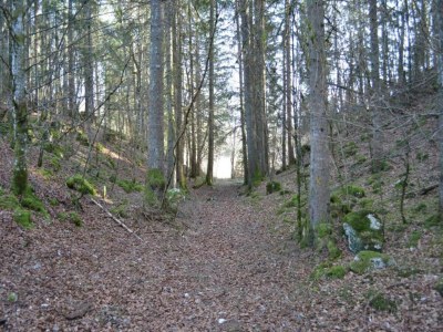 Holiday house Gemütlicher Rückzugsort auf dem Land - Environment photo 32