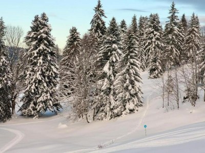 Holiday house Gemütlicher Rückzugsort auf dem Land - Environment photo 35