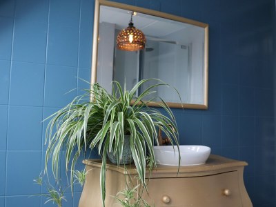 Holiday house Ferienhaus mit großem umzäunten Garten - Outdoor photo 37