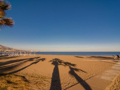 Apartment beachfront large terrace - Environment photo 28