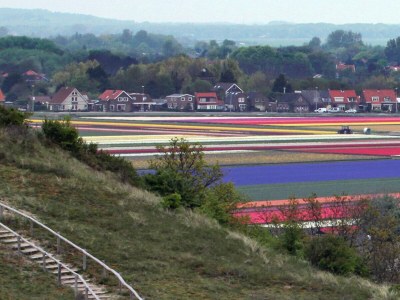 Holiday apartment "The Beach-House" - Environment photo 16