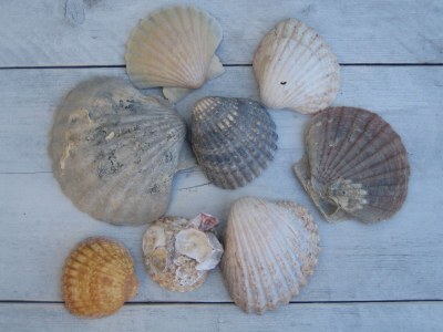 Holiday apartment "The Beach-House" - Environment photo 20