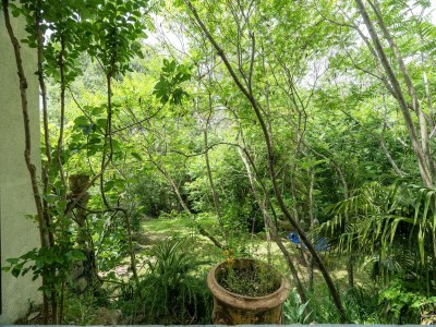 Holiday house Majestic holiday home in Laroque with hot tub - Outdoor photo 10