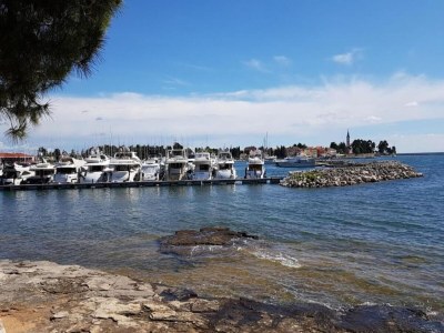 Villa Familienapartment in Novigrad - Environment photo 33