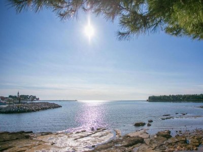 Villa Familienapartment in Novigrad - Environment photo 36