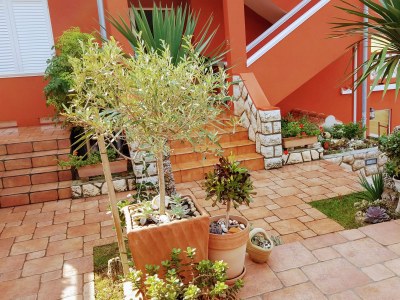Holiday apartment Ana Apartmani - Environment photo 24