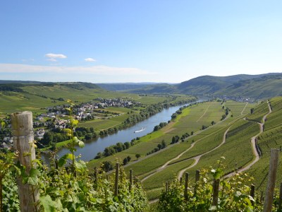 Holiday apartment Ferienhaus Manfred Mathy - Environment photo 18