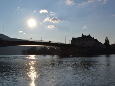 Holiday apartment Ferienhaus Manfred Mathy - Environment photo 21
