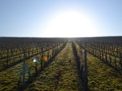 Holiday apartment Ferienhaus Manfred Mathy - Environment photo 24