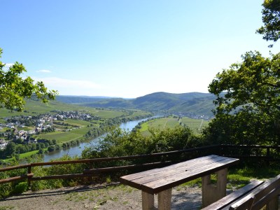Holiday apartment Ferienhaus Manfred Mathy - Environment photo 25
