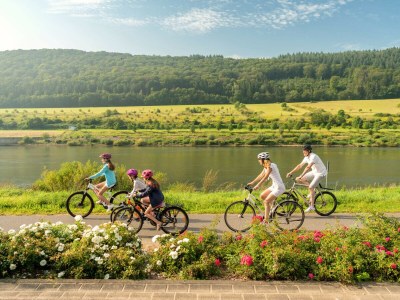 Holiday apartment Ferienhaus Manfred Mathy - Environment photo 26