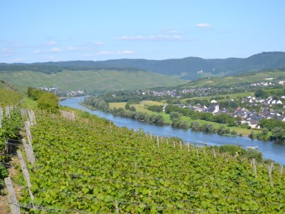 Holiday apartment Ferienhaus Manfred Mathy - Environment photo 27