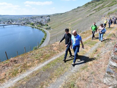 Holiday apartment Ferienhaus Manfred Mathy - Environment photo 28