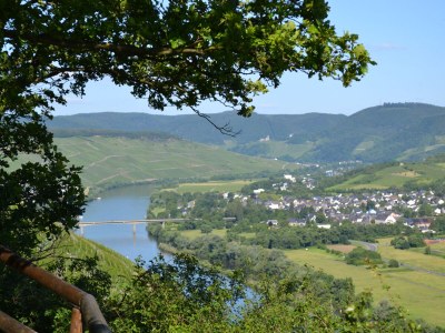 Holiday apartment Ferienhaus Manfred Mathy - Environment photo 29
