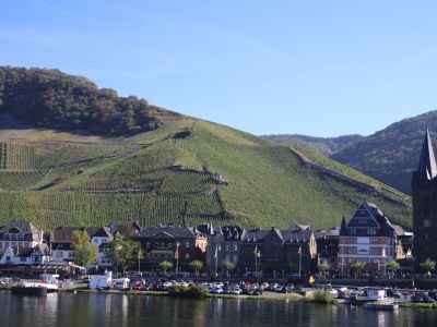 Holiday apartment Ferienhaus Manfred Mathy - Environment photo 30