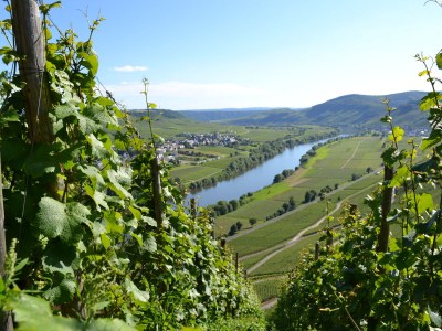 Holiday apartment Ferienhaus Manfred Mathy - Environment photo 32