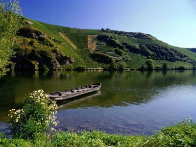 Holiday apartment Ferienhaus Manfred Mathy - Environment photo 33