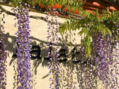 Villa Villa in Caunes-Minervois - Outdoor photo 39